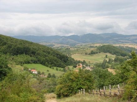 ホテル Casuta De La Munte Sfodea エクステリア 写真
