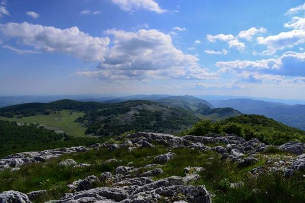 ホテル Casuta De La Munte Sfodea エクステリア 写真